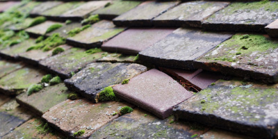Crystal Palace roof repair costs
